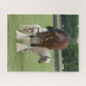 Clydesdale terwijl hij op miniatuurbasis staat legpuzzel (Horizontaal)