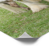 Clydesdale terwijl hij op miniatuurbasis staat poster (Hoek)