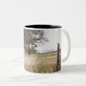 Clydesdale Tweekleurige Koffiemok (Voorkant rechts)