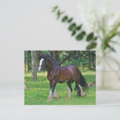 Clydesdalepaard Briefkaart (Staand voorkant)