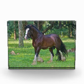 Clydesdalepaard Fotoblokken (Voorkant)