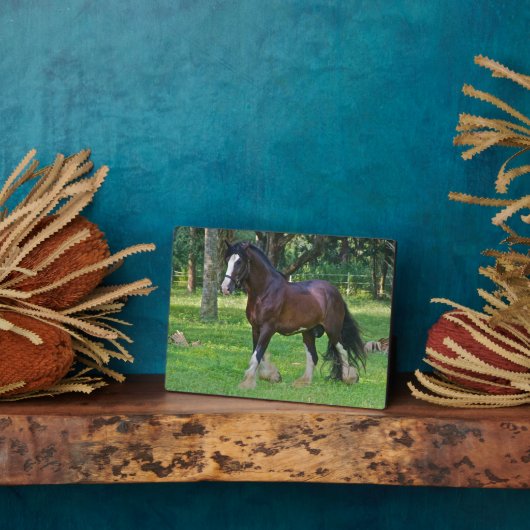 Clydesdalepaard Fotoplaat (Zijkant)