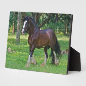 Clydesdalepaard Fotoplaat (Zijkant)