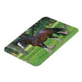 Clydesdalepaard Magneet (Linkerzijde)