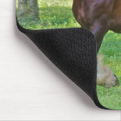 Clydesdalepaard Muismat (Hoek)