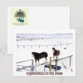 CLYDESDALES IN DE SNEE BRIEFKAART (Voorkant / Achterkant)