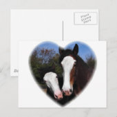 Clydesdales in het hart briefkaart (Voorkant / Achterkant)