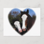 Clydesdales in het hart briefkaart (Voorkant)