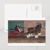 Clydesdales karretje briefkaart (Voorkant / Achterkant)
