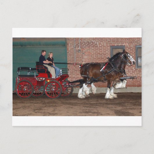 Clydesdales karretje briefkaart (Voorkant)