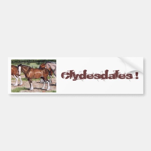 Clydesdales Rule Horse Art Bumpersticker (Voorkant)