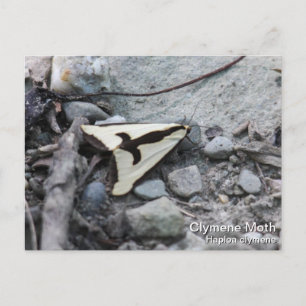 Clymene Moth Briefkaart