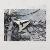 Clymene Moth Briefkaart (Voorkant)
