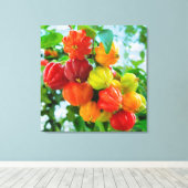 CM12135 - Pitanga, tropisch fruit Canvas Afdruk (Insitu (Houten vloer))