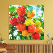 CM12135 - Pitanga, tropisch fruit Canvas Afdruk (Insitu (Woonkamer))