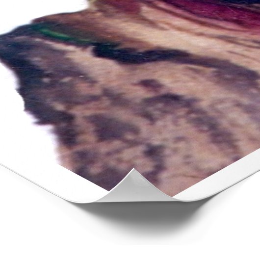 CMCarlson Cherry Blossom Poster (Hoek)