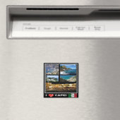 CMP116 CAPRI I Love - Campania - Italy - Fridge Magneet (Insitu (Vaatwasser))