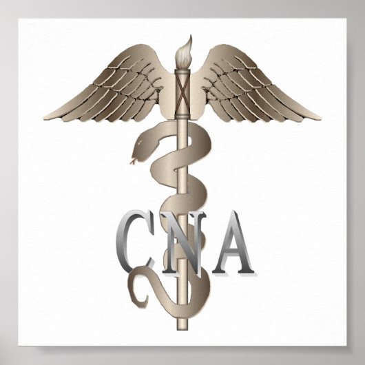 CNA Caduceus Poster (Voorkant)