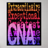 CNA-Poster voor extraordinaire doeleinden Poster (Voorkant)