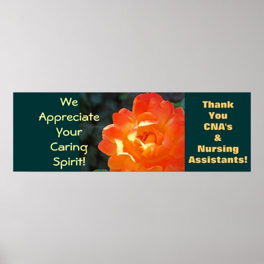 CNA's kunstposters Rose Gecertificeerd Verpleegkun Poster (Voorkant)