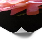 CNA's posters Certified Nursing Assistants Angels (Hoek)