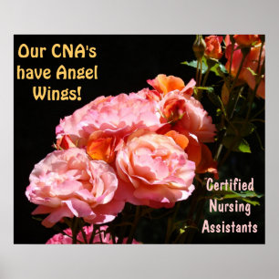 CNA's posters Certified Nursing Assistants Angels