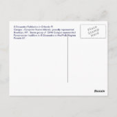 CNM Panamanian Congos Briefkaart (Achterkant)