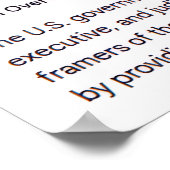 Co-Equal Branches of Government Poster (Hoek)