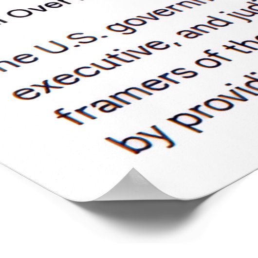 Co-Equal Branches of Government Poster (Hoek)