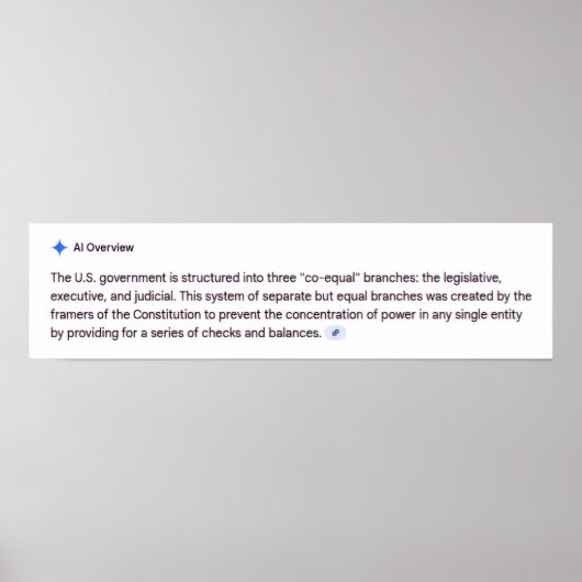 Co-Equal Branches of Government Poster (Voorkant)