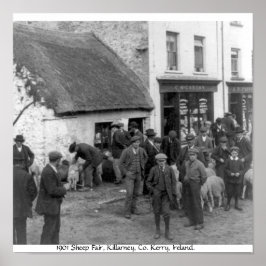  Co. Kerry Ireland, Killarney Sheep Fair Poster