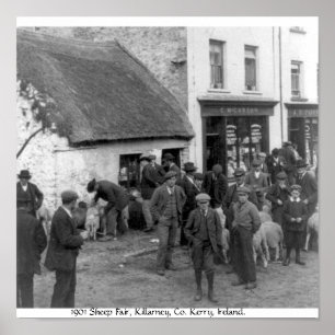 Co. Kerry Ireland, Killarney Sheep Fair Poster