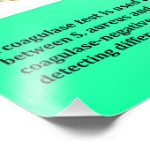 coagulase foto afdruk (Hoek)