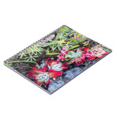 Coast Dudleya op Point Reyes National Seashore Notitieboek (Linkerzijde)