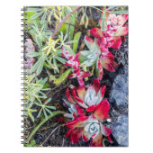 Coast Dudleya op Point Reyes National Seashore Notitieboek (Voorkant)