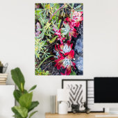 Coast Dudleya op Point Reyes National Seashore Poster (Thuiskantoor)