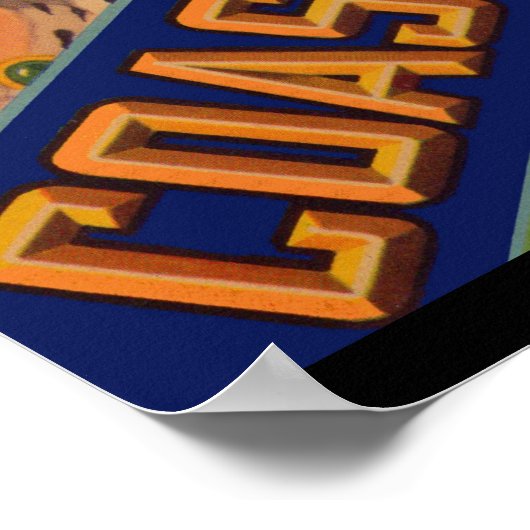 Coast Queen broccoli crate label 1930 Poster (Hoek)