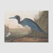coastal Audobon blue heron Tissue Paper Tissuepapier (Voorkant)