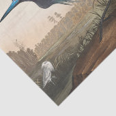 coastal Audobon blue heron Tissue Paper Tissuepapier (Detail)