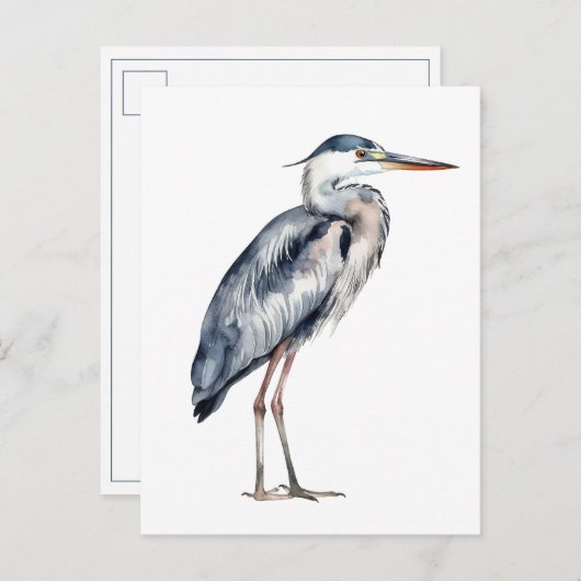 Coastal Blue Heron Bird Briefkaart (Voorkant / Achterkant)