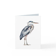Coastal Blue Heron Bird