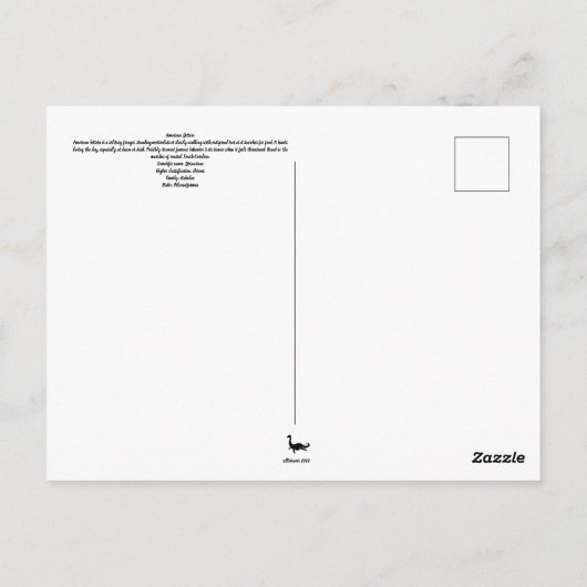 Coastal Carolina Bittern Post Kaart Postcrossing (Achterkant)