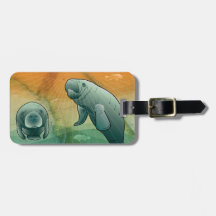 Coastal Florida Manatee