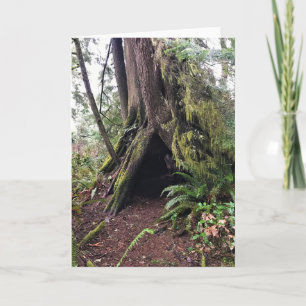 Coastal Forest Loop Trail, Cape Disappointment, WA Kaart