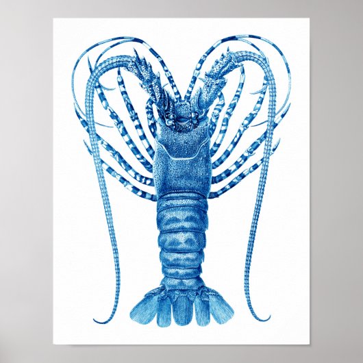 Coastal Kitchen Art Decor Blue Lobster Print no.8 (Voorkant)