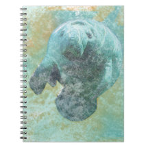 Coastal Living Beauful Manatee | NOTITIEBOEK