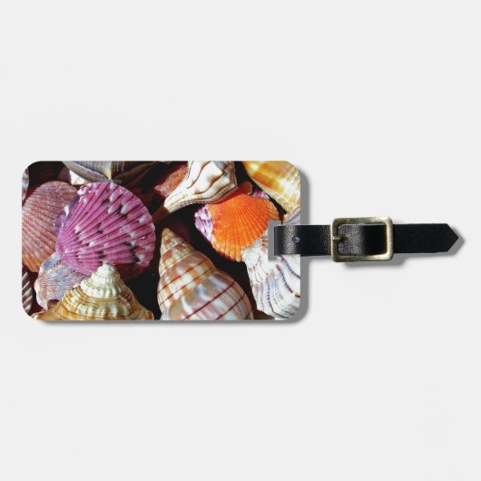 Coastal Ocean Zee Shell-patroon Bagagelabel (Voorkant horizontaal)