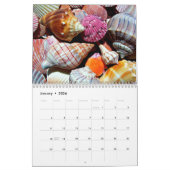 Coastal Ocean Zee Shell-patroon Kalender (Jan 2026)