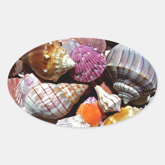 Coastal Ocean Zee Shell-patroon Ovale Sticker (Voorkant)