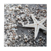 Coastal Ocean Zee Shell-patroon Tegeltje (Voorkant)